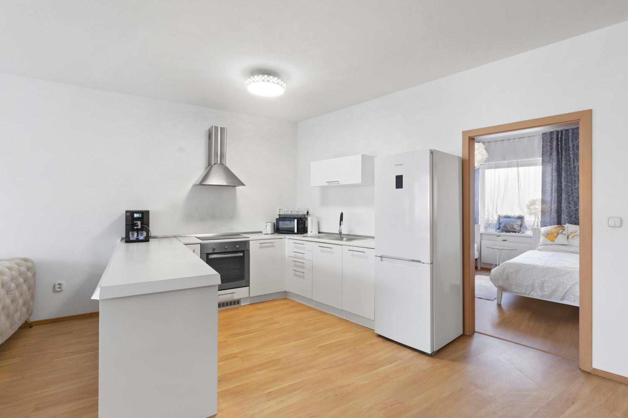 Apartment Puma V Centre Piestan Пьештяни Экстерьер фото